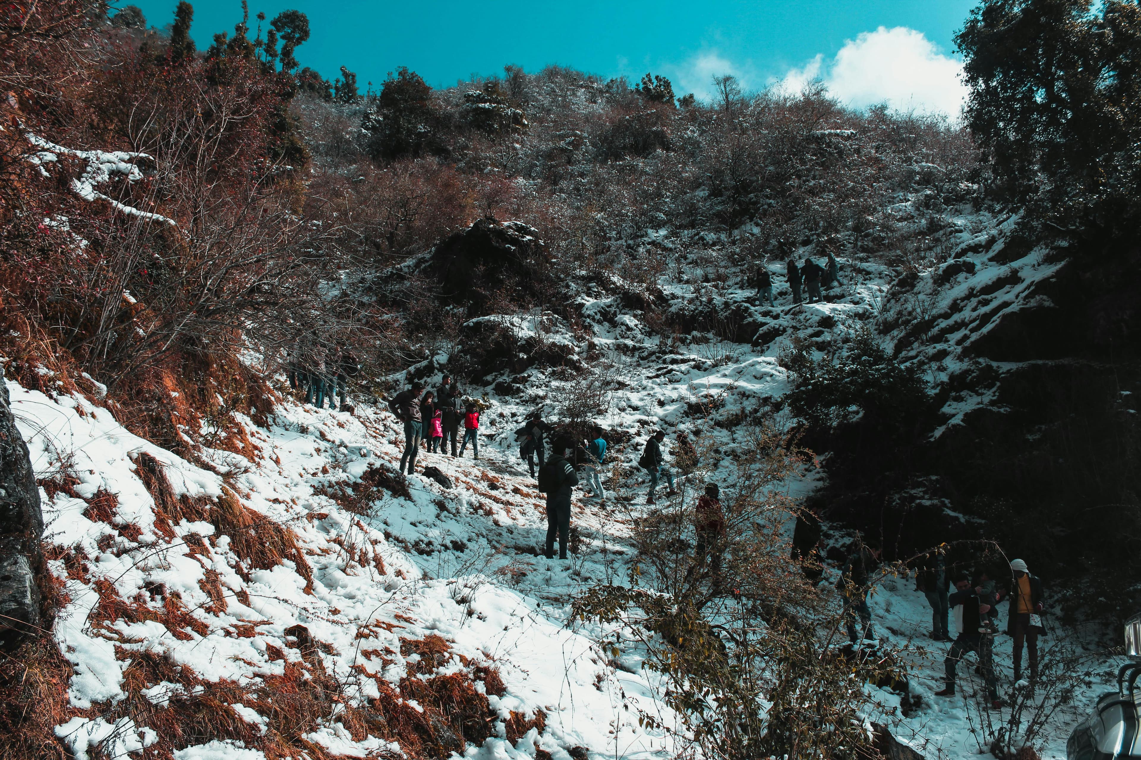 Mt. Srikanth Base Camp Trek (Harsil Valley) – 5 Days Himalayan Trek