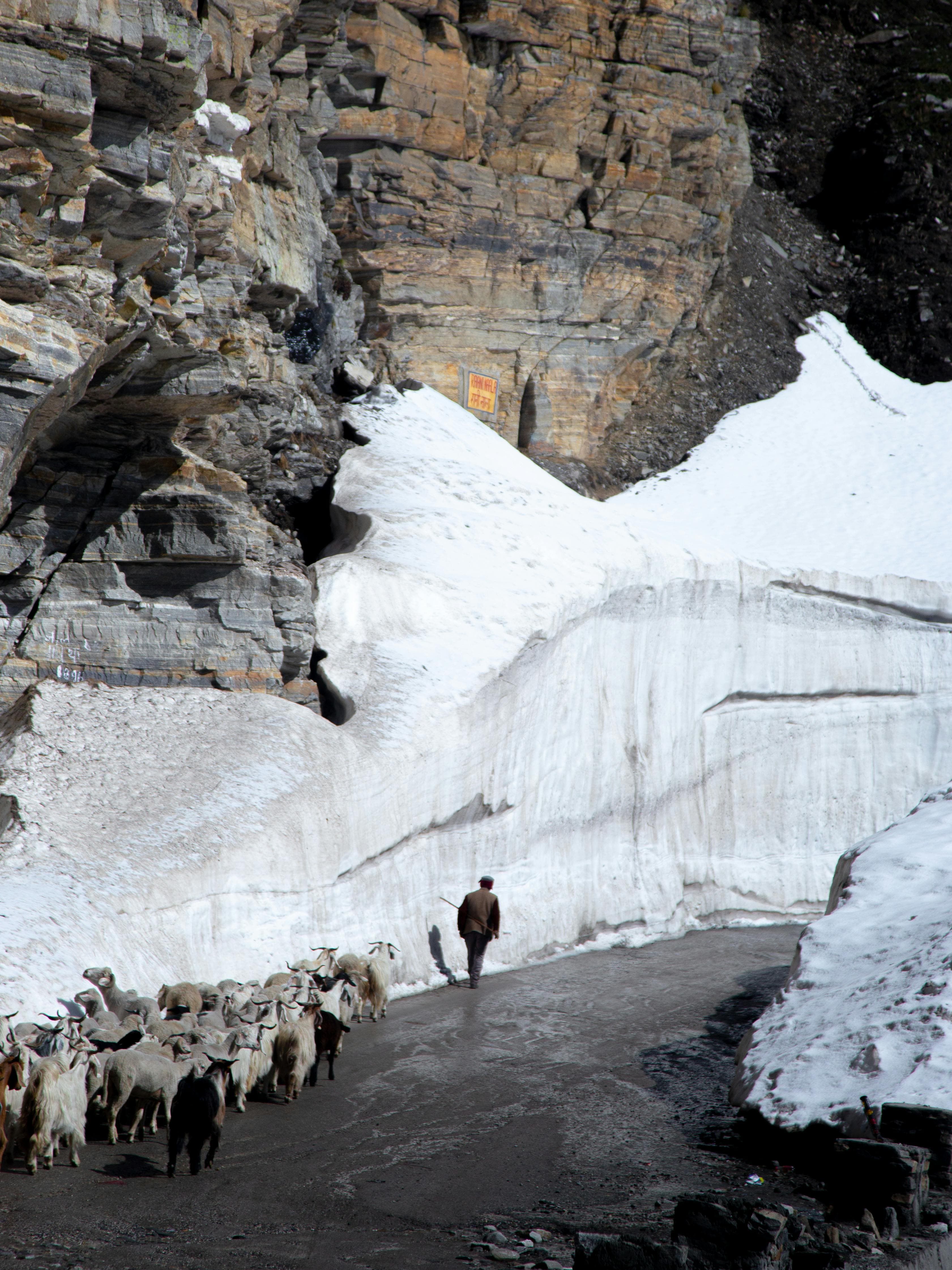 Manali, Kullu & Shimla Tour – Snow Peaks, Valleys & Colonial Hills