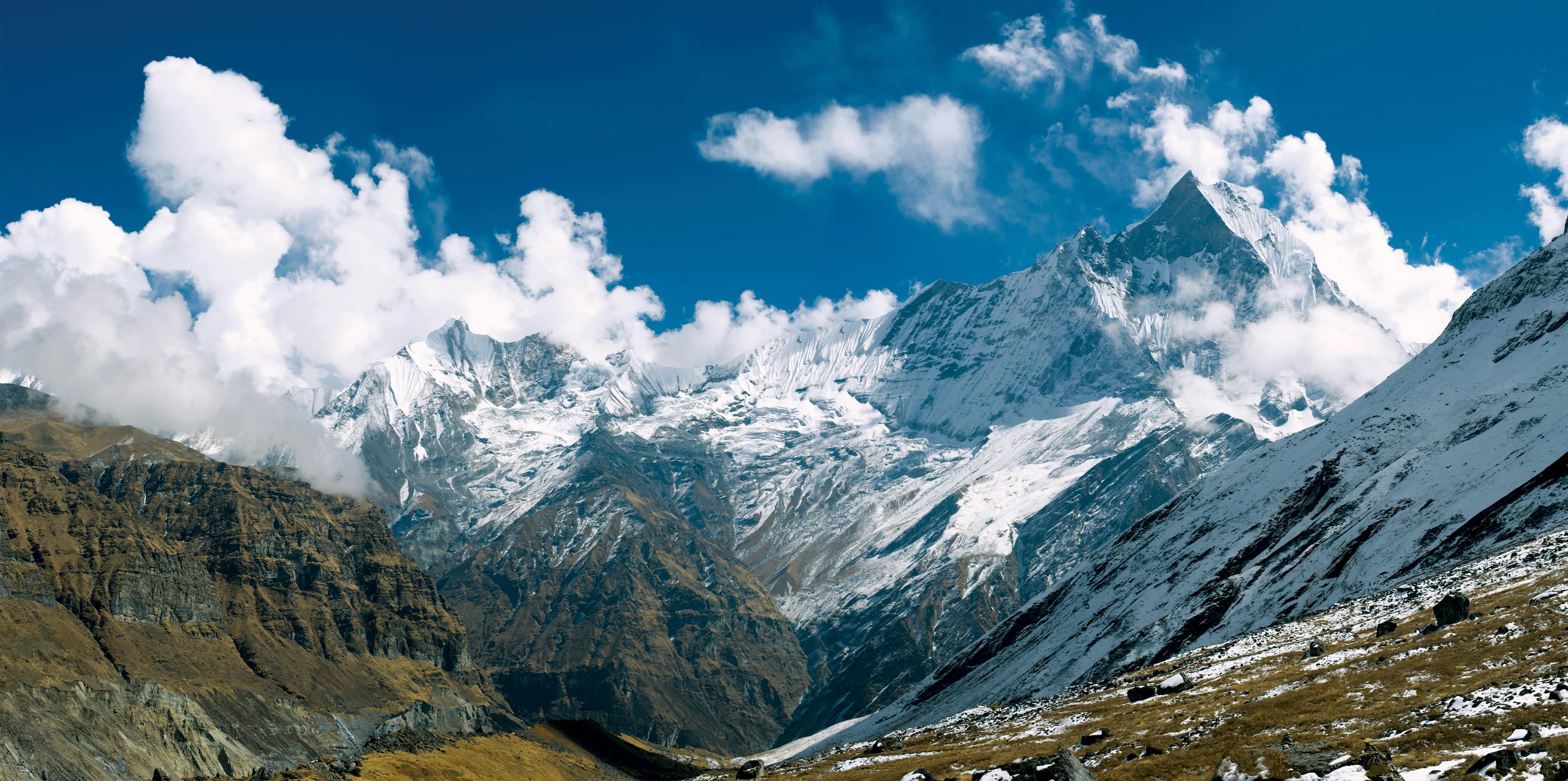 Dayara Bugyal Trek (Alpine Meadows & Himalayan Views) – 5 Days