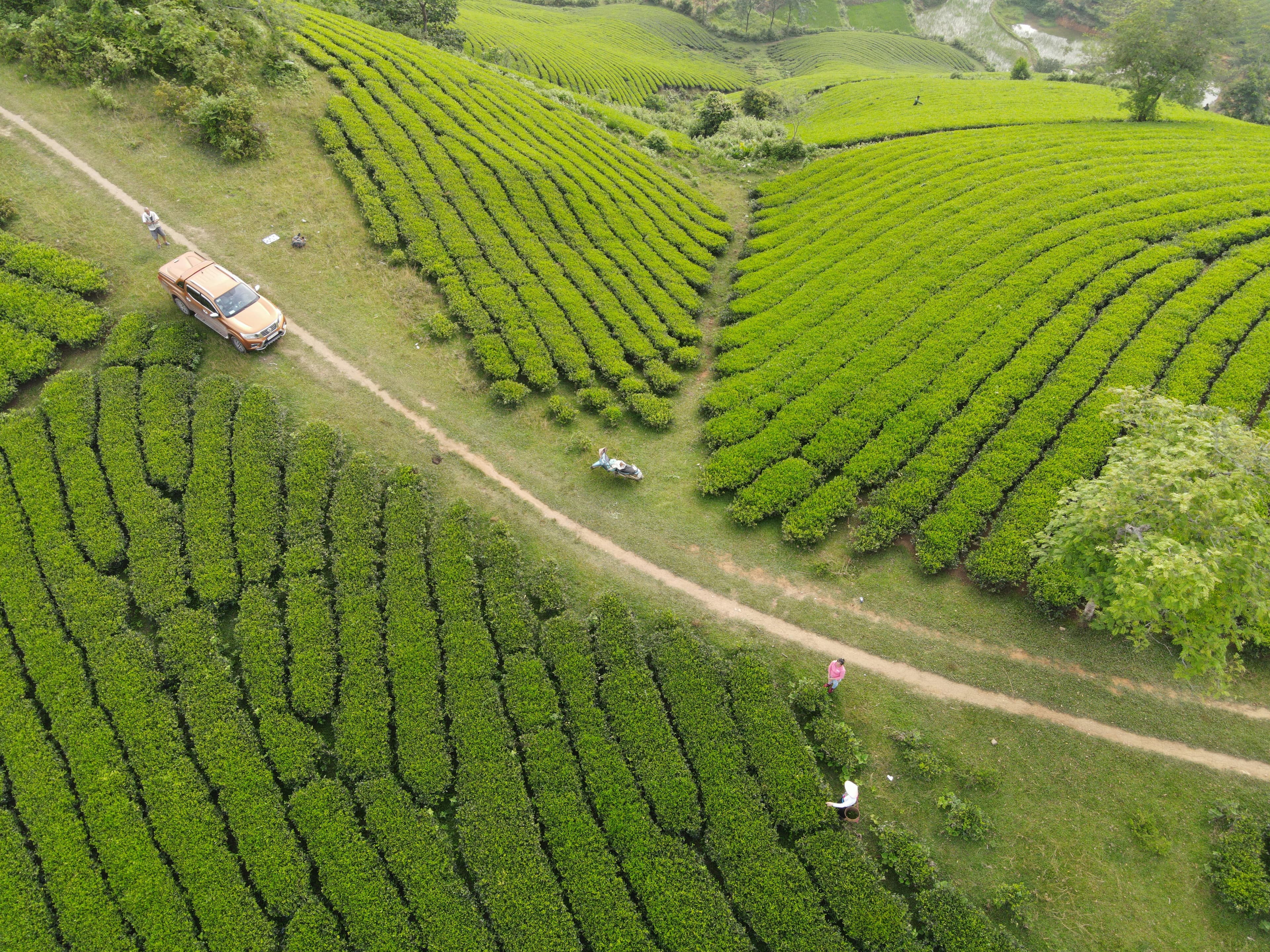 Gangtok & Darjeeling Explorer – Lakes, Monasteries & Tea Hills