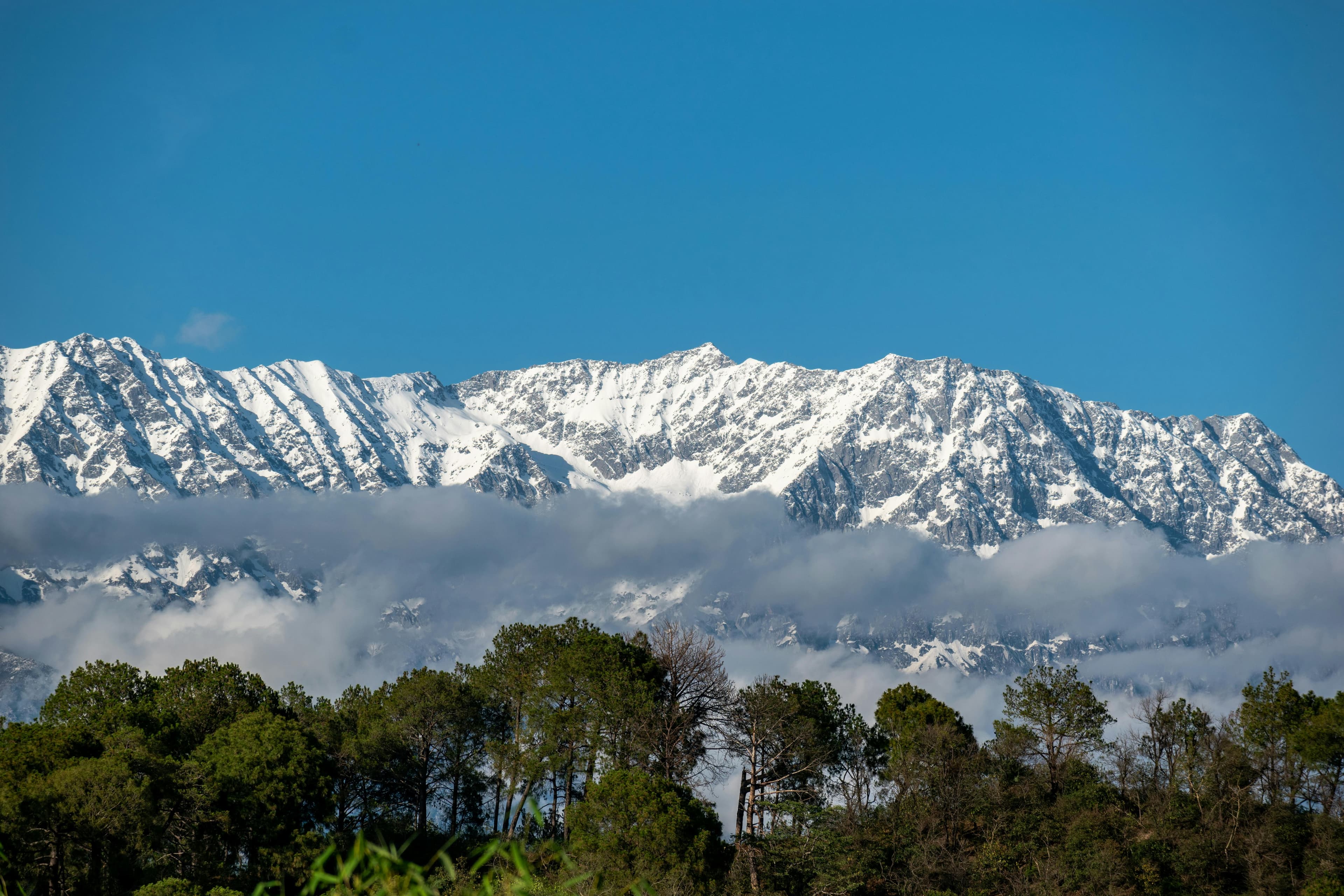 Dharamshala, Dalhousie & Amritsar Tour – Mountains, Monasteries & Golden Temple