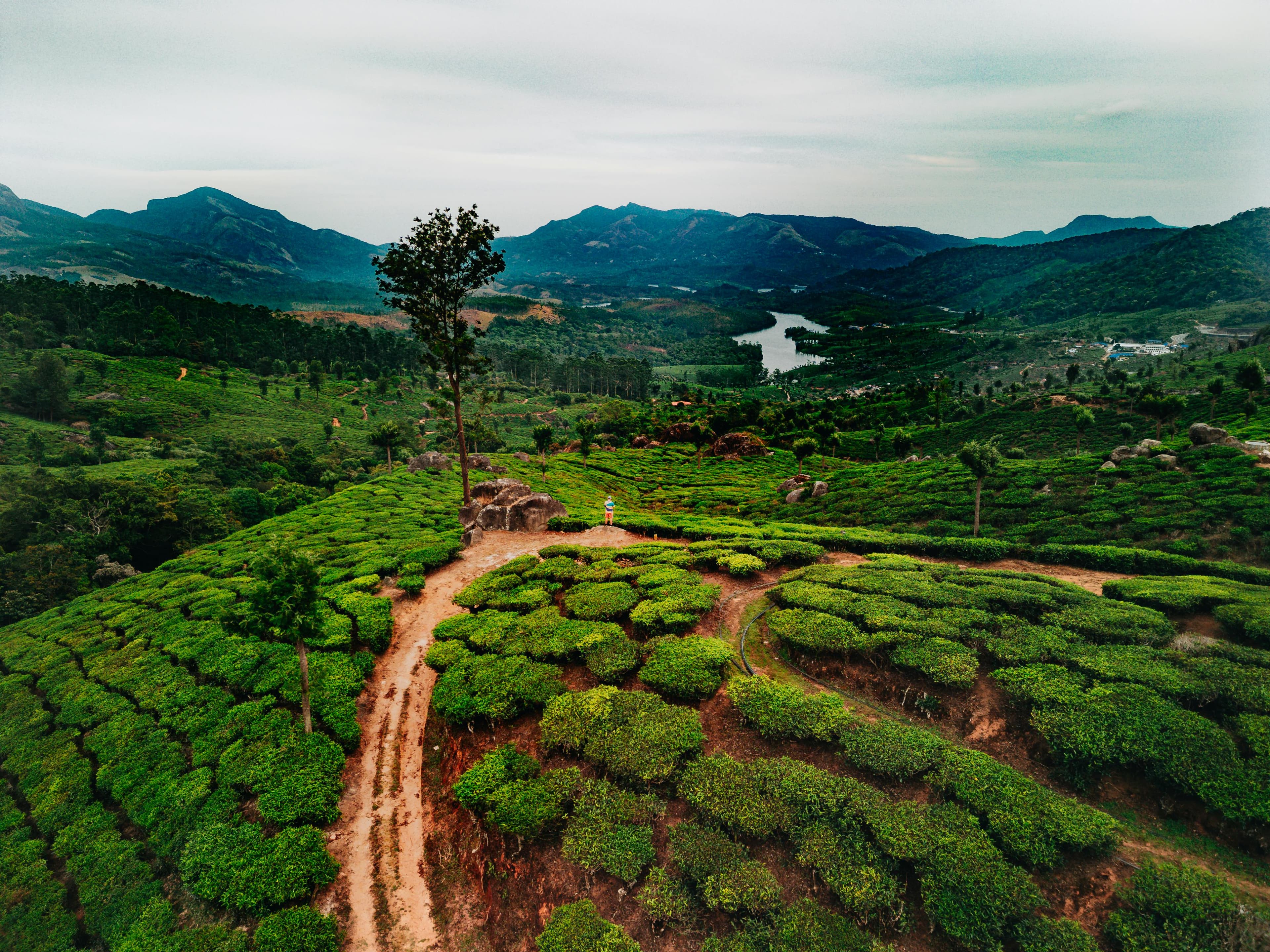 Kerala Honeymoon Tour – Munnar, Thekkady & Alleppey with Photoshoot