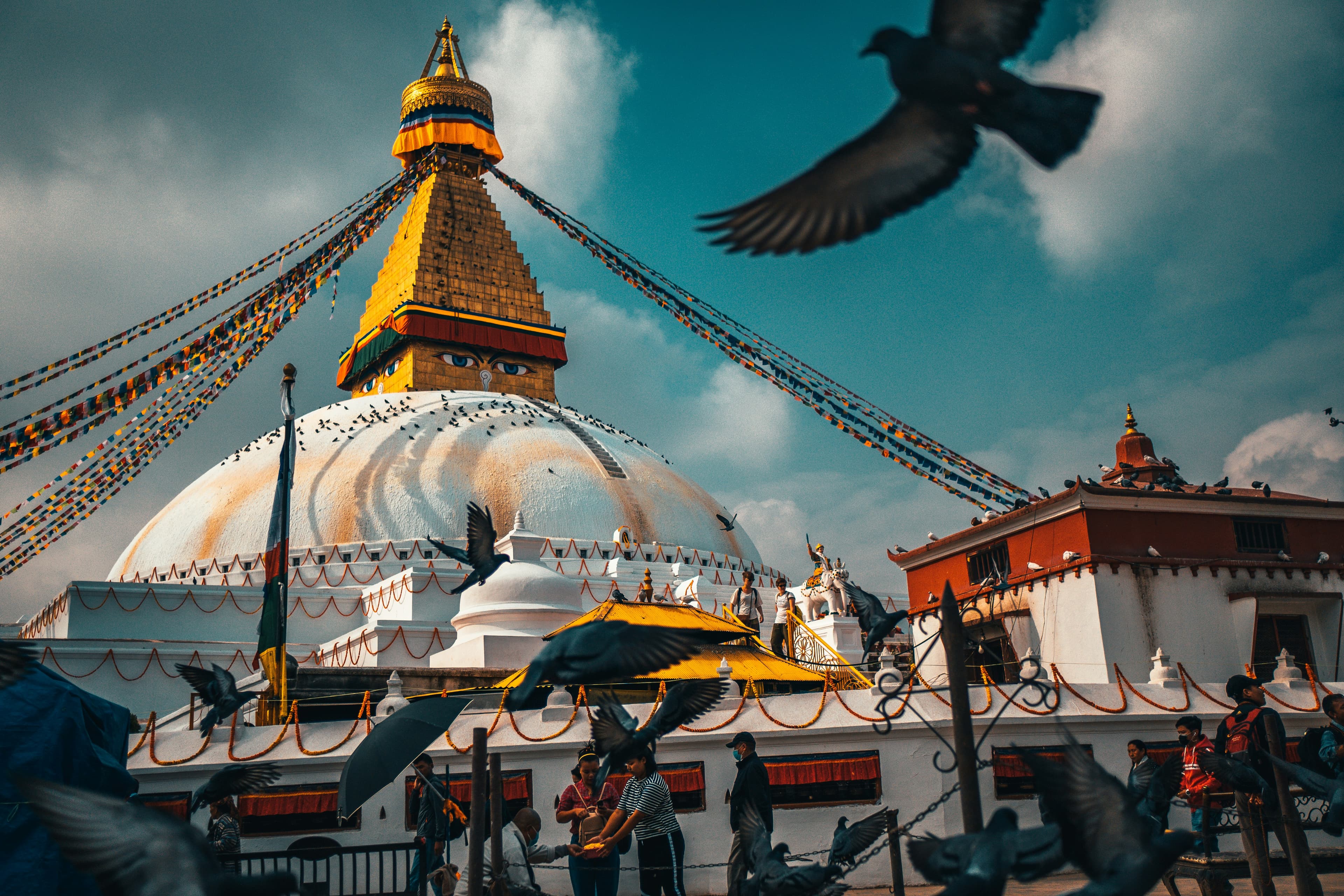 Nepal Nature & Pilgrimage Tour – Kathmandu, Pokhara, Chitwan & Muktinath