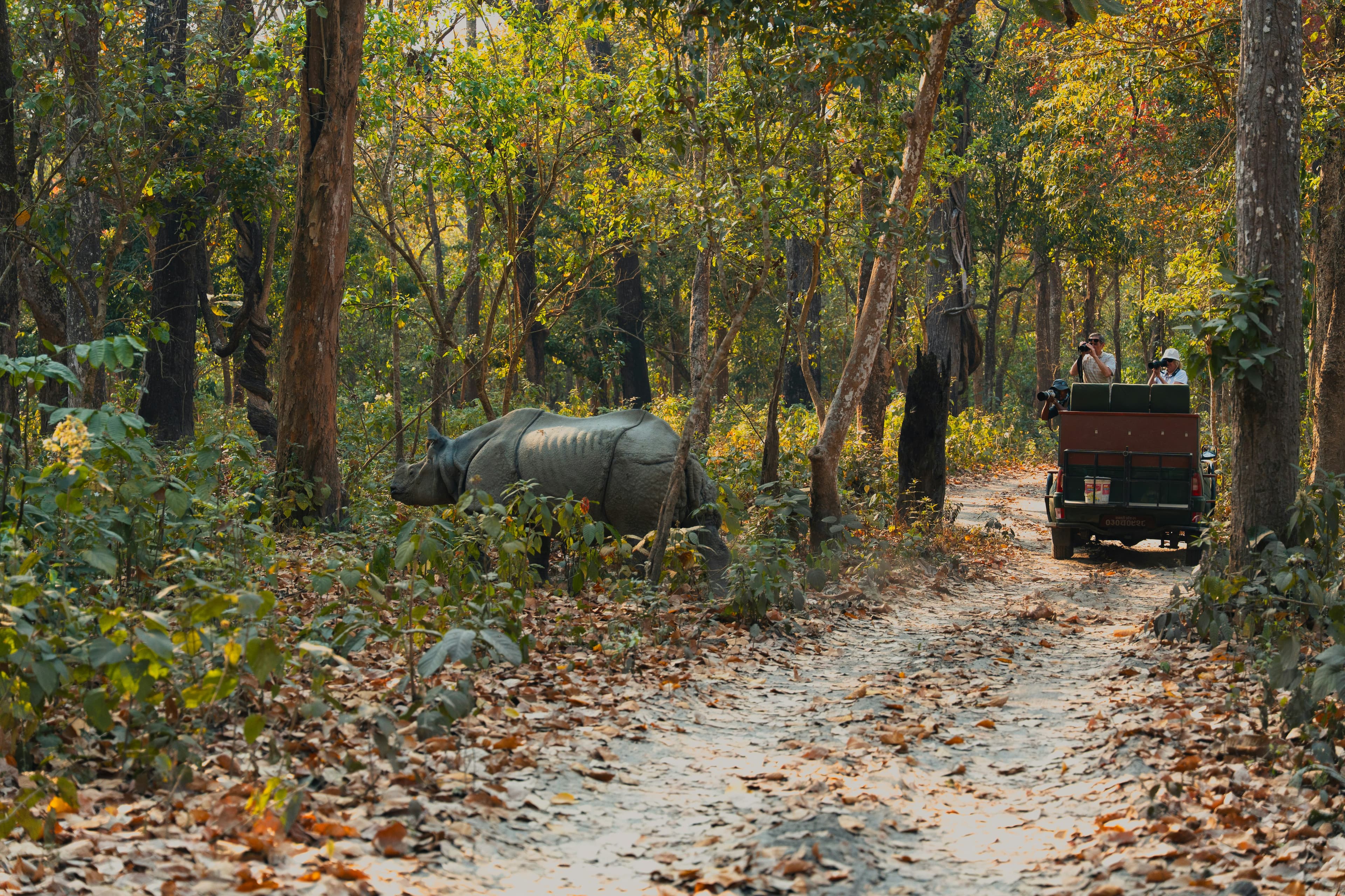 Nepal Golden Triangle Tour – Kathmandu, Pokhara & Chitwan Adventure
