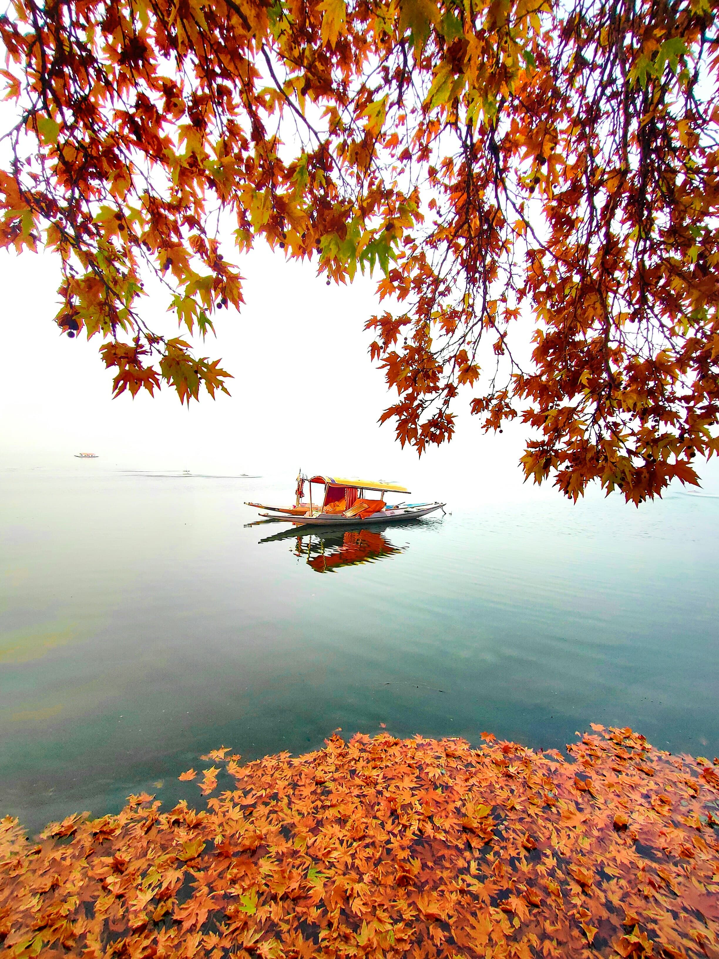 Splendid Kashmir Tour – Srinagar, Gulmarg, Pahalgam & Doodhpathri