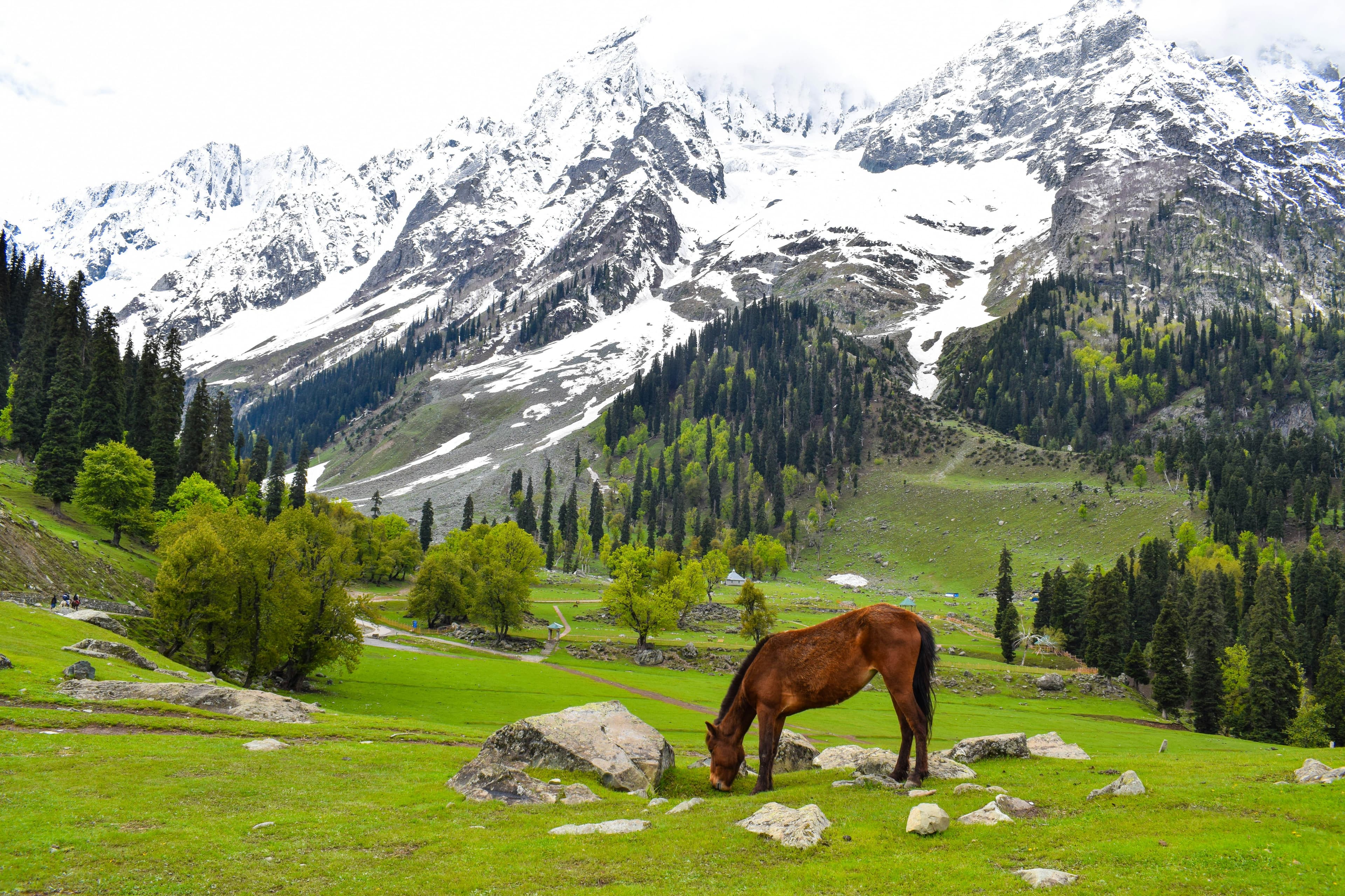 Splendid Kashmir Tour – Srinagar, Gulmarg, Pahalgam & Doodhpathri
