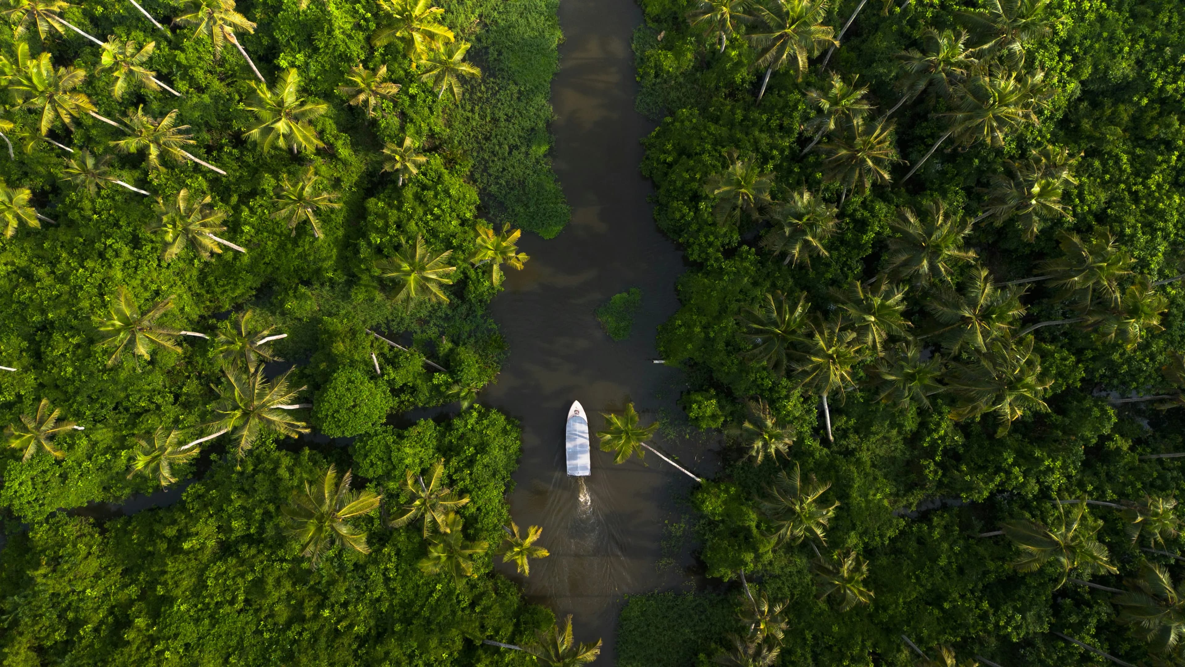 Kerala Honeymoon Tour – Munnar, Thekkady & Alleppey with Couple Photoshoot